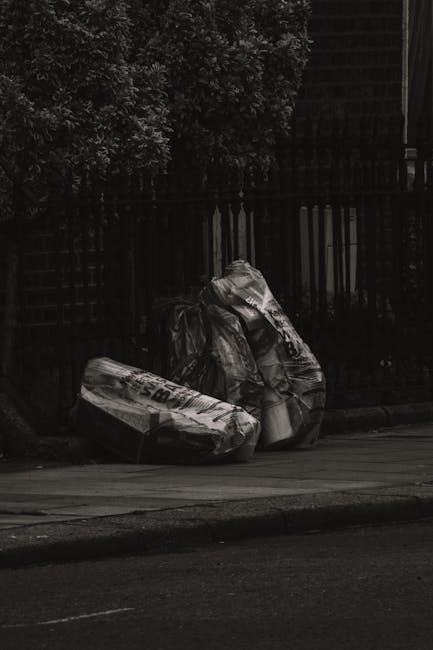 https://wasteclearancechelsea.co.uk/blog/hidden-fees-to-avoid-when-booking-rubbish-removal-chelsea/